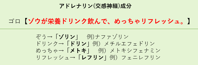 【登録販売者試験】交感神経刺激薬成分を覚えるゴロ「ゾウが栄養ドリンク飲んで、めっちゃリフレッシュ。」学習用画像(ナファゾリン・フェニレフリンなど対応)