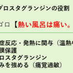 【登録販売者試験】プロスタグランジンの役割ゴロ「熱い風呂は痛い」 スクリーンショット 2025-09-21 123006