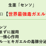 【登録販売者試験】センソ生薬の作用を覚えるゴロ【世界最強毒ガエル】 スクリーンショット 2025-09-22 184856