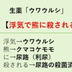 【登録販売者試験】尿路殺菌消毒の生薬成分ウワウルシのゴロ「浮気で熊に殺される」 スクリーンショット 2025-10-08 231549